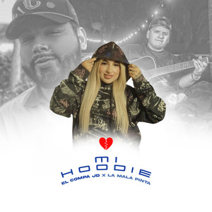 Mi Hoodie