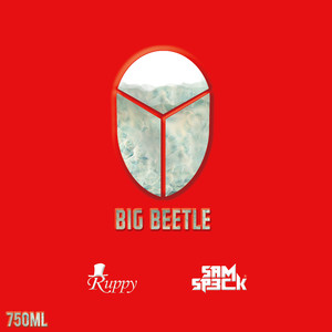 Bukhansan (SAM&SP3CK Edit)