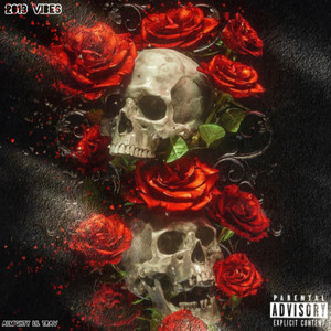 2013 Vibes (Explicit)