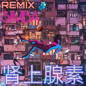 肾上腺素 (Remix)