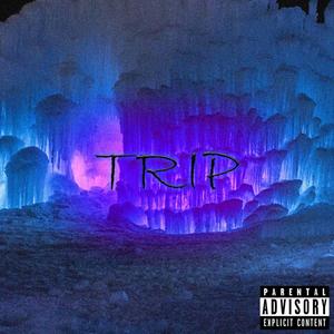 Trip(feat. Hueala) (Explicit)