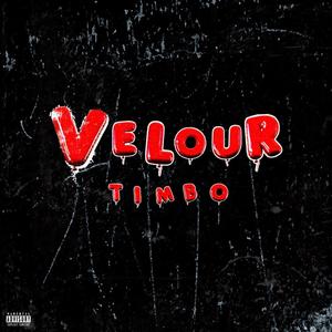 Velour (feat. TaavTheHuman, RG45 & Bfokxy) [Explicit]