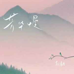芳华慢封面