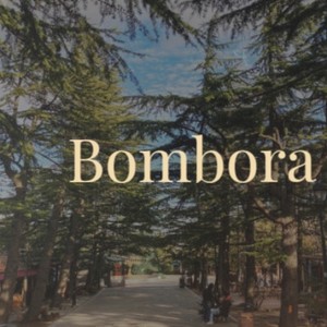 Bombora