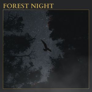 FOREST NIGHT