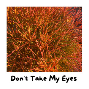 Don't Take My Eyes