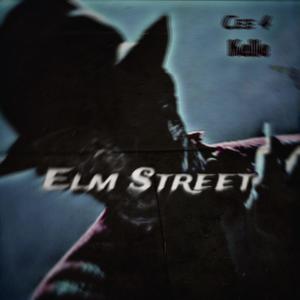 ELM STREET (Explicit)