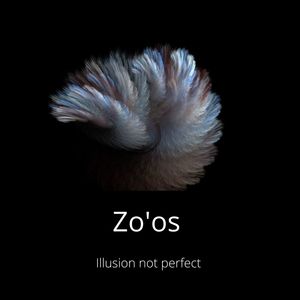 Illusion Not Perfect