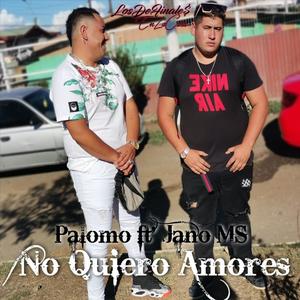 No Quiero Amores(feat. Jano MS)