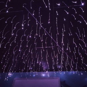 はないきンスな愛