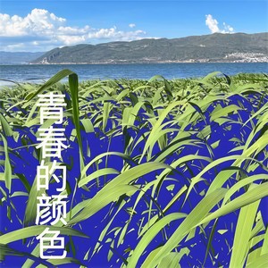 乐方舟 曾子岚 - 青春的颜色 (新版)