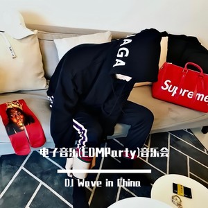 巴巴贝斯 The Bass (DJ版)