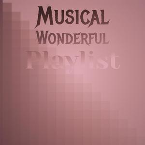 Musical Wonderful Playlist