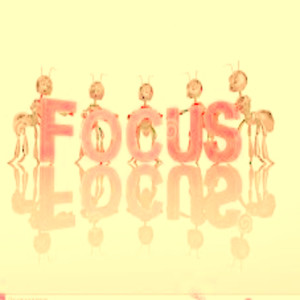 Focus