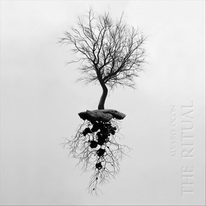 Narcis (feat. Dylan Chandler, Julio Marín, Josep Pou, Jon Carranza & David Gimeno)