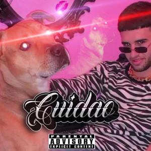 CUIDAO