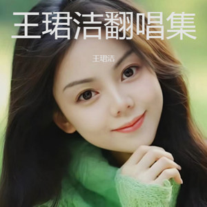 过不去的都会过去封面