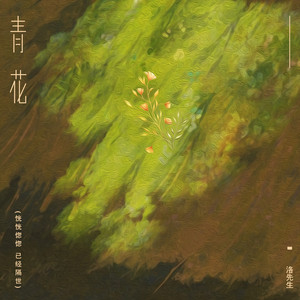 青花 (恍恍惚惚 已经隔世)-洛先生