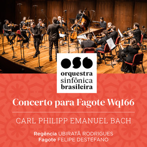 Concerto para Fagote Wq166