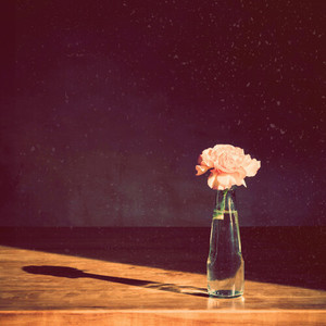 Love Looks Different