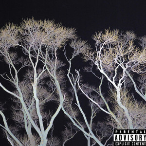 History (No Rules2) (feat. Brentrambo) (Explicit)