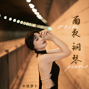 雨夜钢琴 (防城港进行曲dj版) - 半根萝卜封面