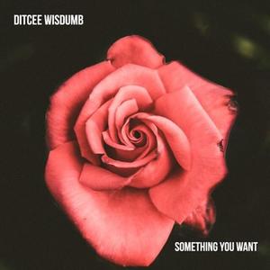 Something You Want (Explicit)