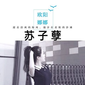 蹦迪专用高质量硬曲
