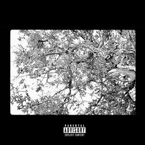 RICHEDOUT (feat. KOTA OSAN!) (Explicit)