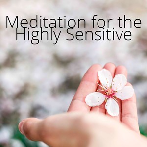 Meditation for the Highly Sensitive