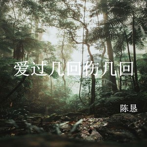 爱过几回伤几回