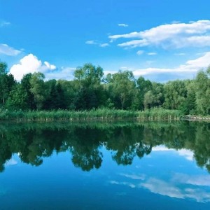 相思赋予谁 (Demo)