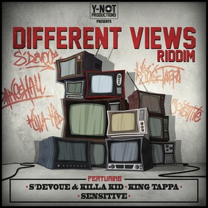 DIFFERENT VIEWS RIDDIM