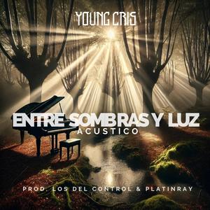 Entre sombras y luz