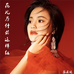 花儿为什么这样红