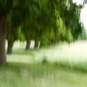 ALDN - i always cared (Explicit)