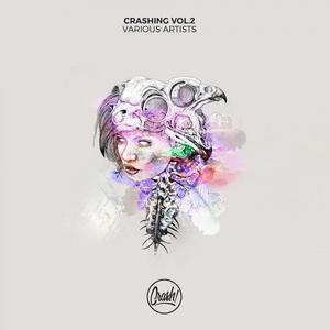 Crashing Vol.2