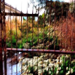 psychoboi&babybear 1， (Inst.)