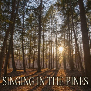 Singing in the Pines