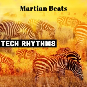 Tech Rhythms