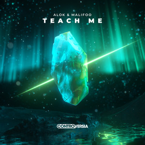 Alok - Teach Me