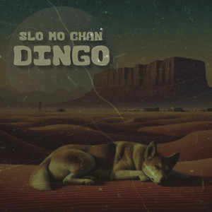 Dingo