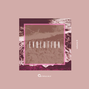 Evolution 8