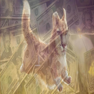 Run That Check Up (feat. Fictous) (Explicit)