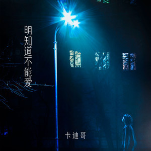 明知道不能爱