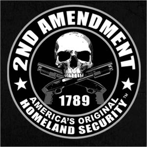 Second Amendment (feat. Trump The Don, AI Larry Bob, Biscuit Beats, Beats By AI & Rizz Records)