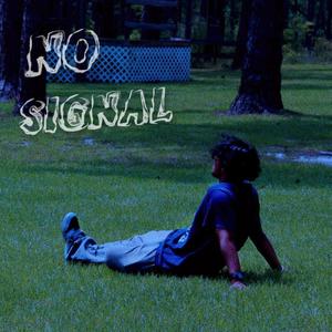No Signal
