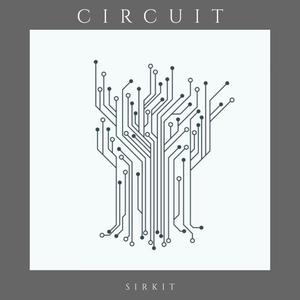 Circuit