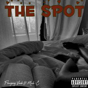 The Spot (feat. FLOWGANG VLADO & MOCK-C) (Explicit)