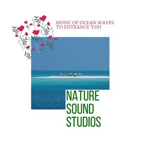 Nature Sound Studios - Music of Ocean Waves to Entrance You